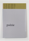 publicatie